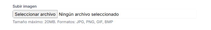 Selecciona la imagen a convertir en texto